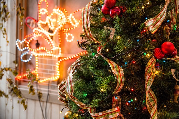 EINDEJAARSINITIATIEF 'EEN KERSTBOOM IN JE BUURT'